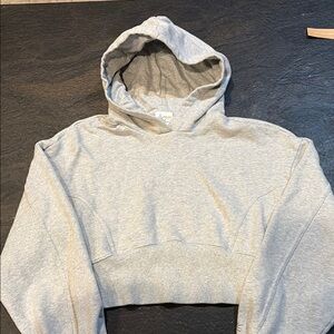 Grey Aerie Offline Cropped Hoodie